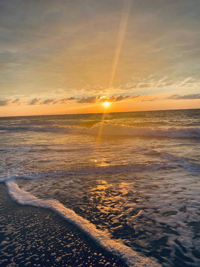 1726 Ocean View Galore Pets Are Welcome Myrtle Beach Eksteriør bilde